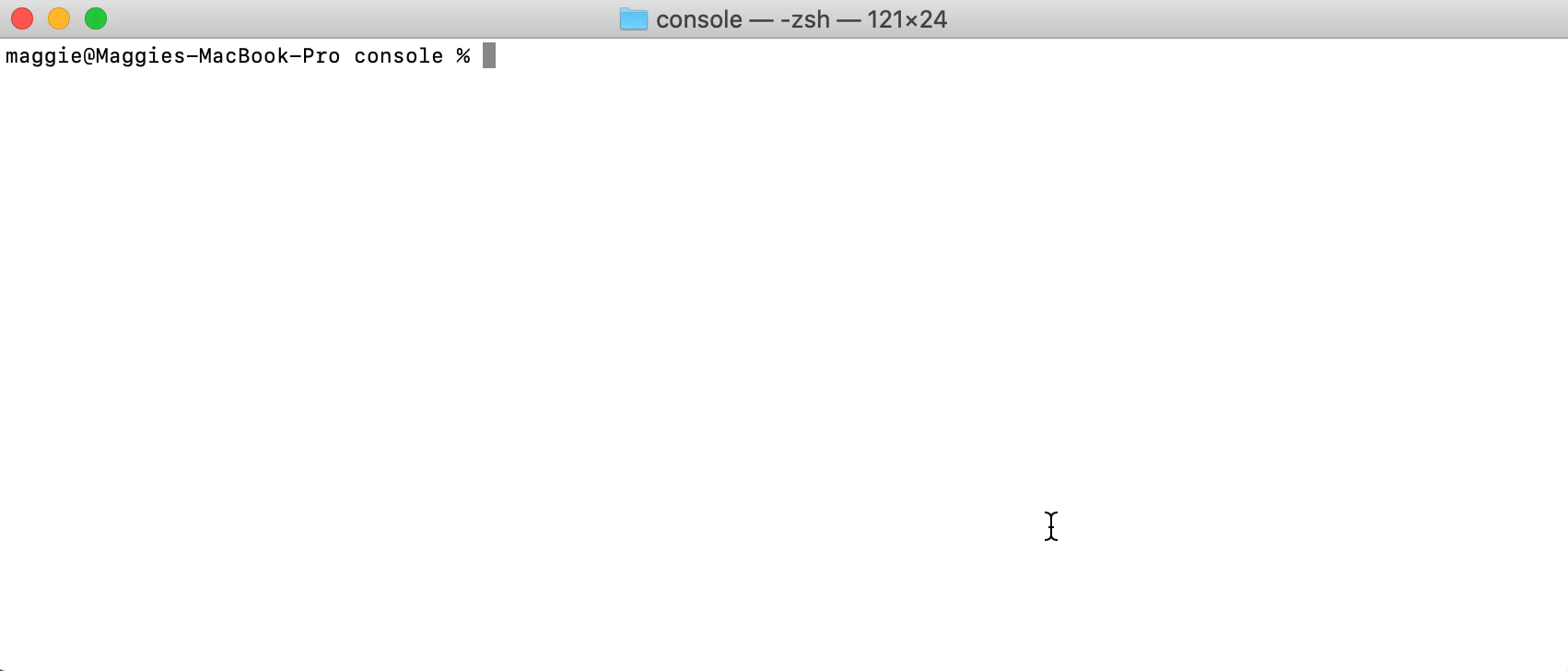 ../_images/use_console.gif